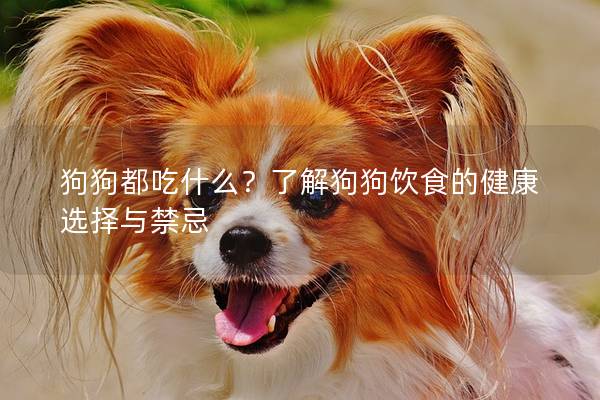 狗狗都吃什么？了解狗狗飲食的健康選擇與禁忌