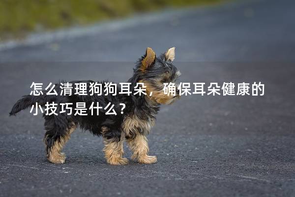 怎么清理狗狗耳朵，確保耳朵健康的小技巧是什么？