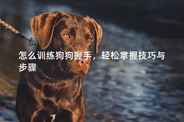 怎么訓練狗狗握手，輕松掌握技巧與步驟