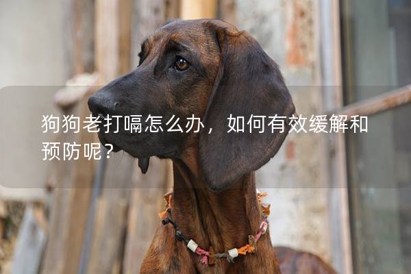 狗狗老打嗝怎么辦，如何有效緩解和預防呢？