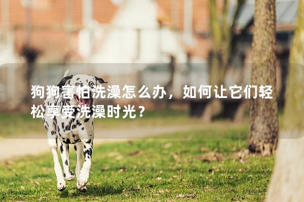 狗狗害怕洗澡怎么辦，如何讓它們輕松享受洗澡時光？