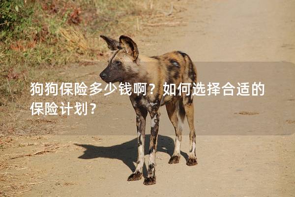 狗狗保險多少錢啊？如何選擇合適的保險計劃？