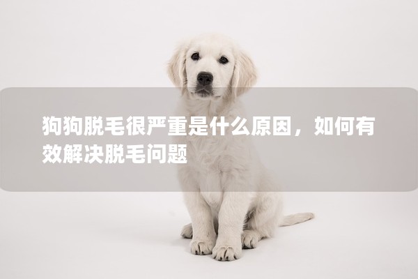 狗狗脫毛很嚴(yán)重是什么原因,如何有效解決脫毛問題 狗狗脫毛很嚴(yán)重是什么原因,如何有效解決脫毛問題