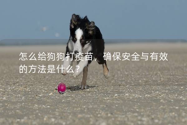 怎么給狗狗打疫苗，確保安全與有效的方法是什么？