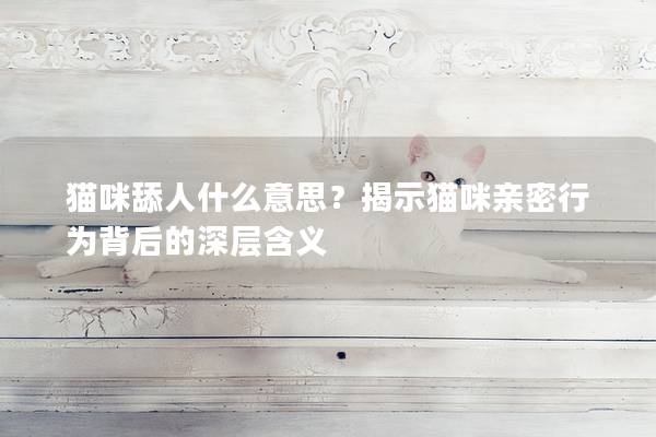 貓咪舔人什么意思？揭示貓咪親密行為背后的深層含義