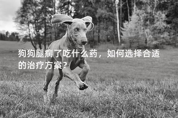 狗狗腿瘸了吃什么藥，如何選擇合適的治療方案？