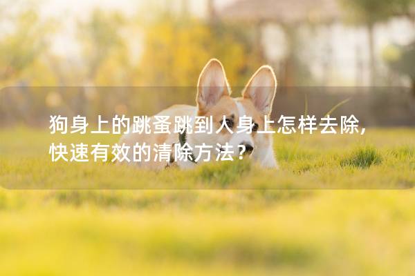 狗身上的跳蚤跳到人身上怎樣去除,快速有效的清除方法? 狗身上的跳蚤跳到人身上怎樣去除,快速有效的清除方法?