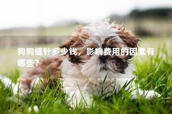 狗狗縫針多少錢，影響費用的因素有哪些？