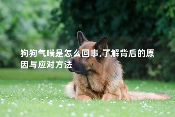 狗狗氣喘是怎么回事,了解背后的原因與應對方法