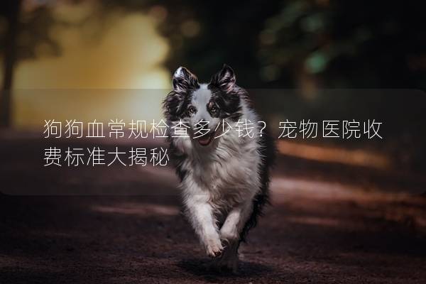狗狗血常規檢查多少錢？寵物醫院收費標準大揭秘