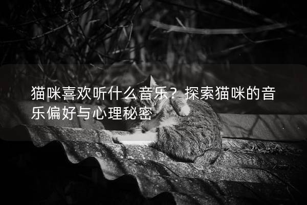 貓咪喜歡聽什么音樂？探索貓咪的音樂偏好與心理秘密
