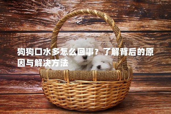 狗狗口水多怎么回事？了解背后的原因與解決方法