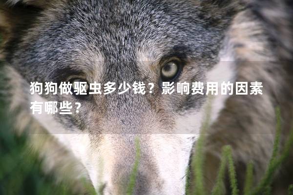 狗狗做驅蟲多少錢？影響費用的因素有哪些？