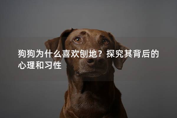 狗狗為什么喜歡刨地？探究其背后的心理和習性