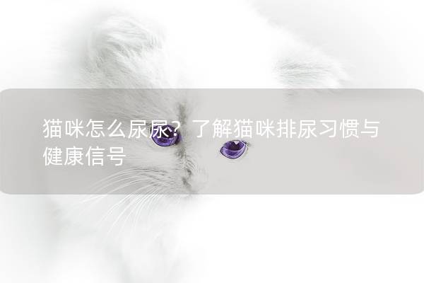 貓咪怎么尿尿？了解貓咪排尿習慣與健康信號