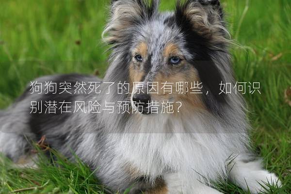 狗狗突然死了的原因有哪些，如何識別潛在風險與預防措施？