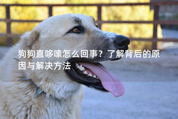 狗狗直哆嗦怎么回事？了解背后的原因與解決方法