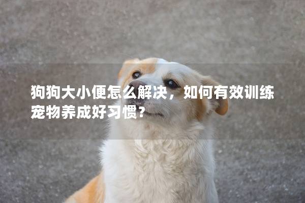 狗狗大小便怎么解決，如何有效訓(xùn)練寵物養(yǎng)成好習(xí)慣？