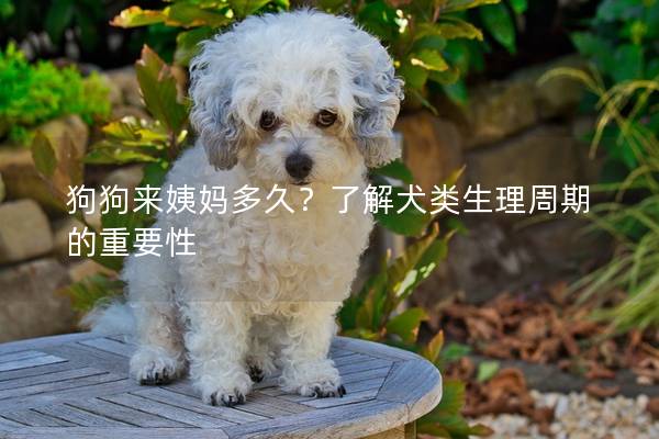 狗狗來姨媽多久？了解犬類生理周期的重要性