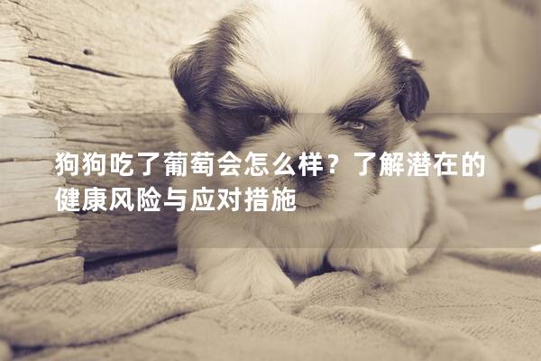 狗狗吃了葡萄會怎么樣？了解潛在的健康風險與應對措施