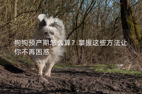 狗狗預產期怎么算？掌握這些方法讓你不再困惑