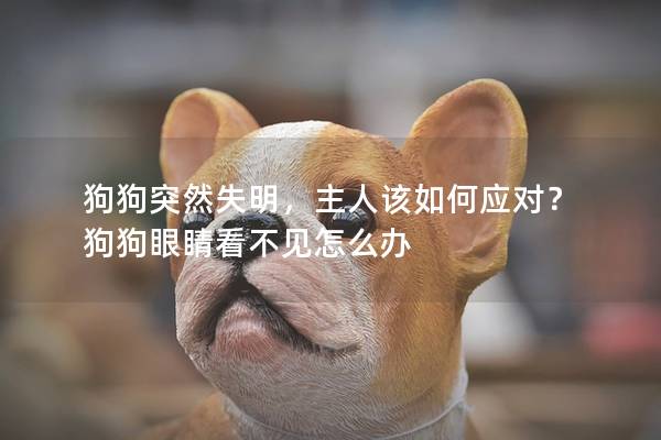 狗狗突然失明，主人該如何應對？ 狗狗眼睛看不見怎么辦