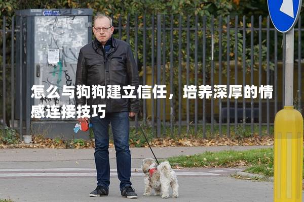 怎么與狗狗建立信任，培養(yǎng)深厚的情感連接技巧