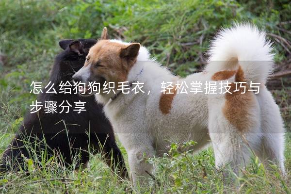 怎么給狗狗織毛衣，輕松掌握技巧與步驟分享