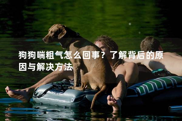 狗狗喘粗氣怎么回事？了解背后的原因與解決方法