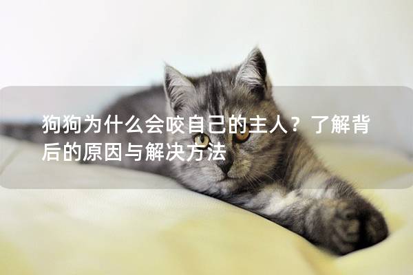 狗狗為什么會咬自己的主人？了解背后的原因與解決方法
