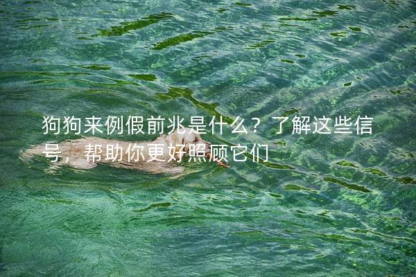 狗狗來例假前兆是什么？了解這些信號，幫助你更好照顧它們