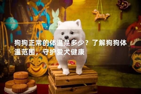 狗狗正常的體溫是多少？了解狗狗體溫范圍，守護愛犬健康