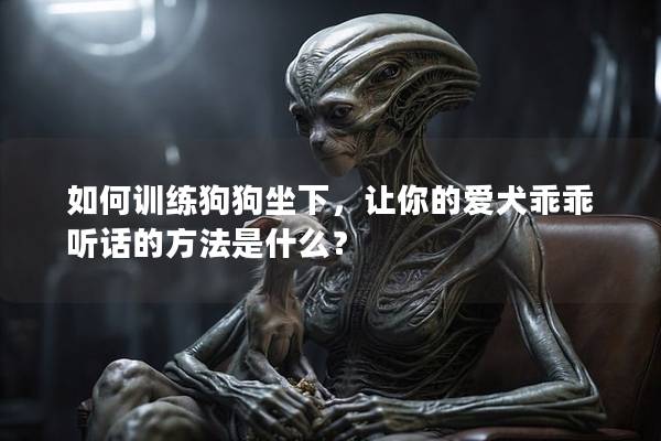 如何訓練狗狗坐下，讓你的愛犬乖乖聽話的方法是什么？