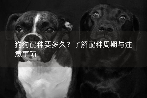 狗狗配種要多久？了解配種周期與注意事項
