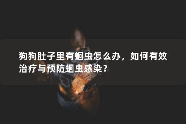 狗狗肚子里有蛔蟲怎么辦，如何有效治療與預防蛔蟲感染？