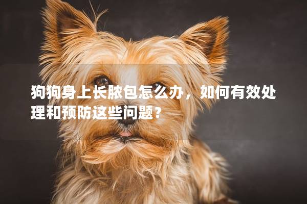 狗狗身上長膿包怎么辦，如何有效處理和預防這些問題？