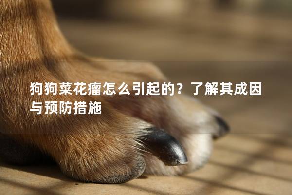 狗狗菜花瘤怎么引起的？了解其成因與預防措施