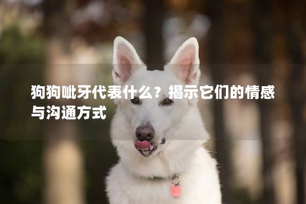 狗狗呲牙代表什么？揭示它們的情感與溝通方式