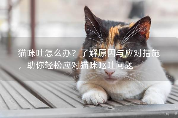 貓咪吐怎么辦？了解原因與應對措施，助你輕松應對貓咪嘔吐問題