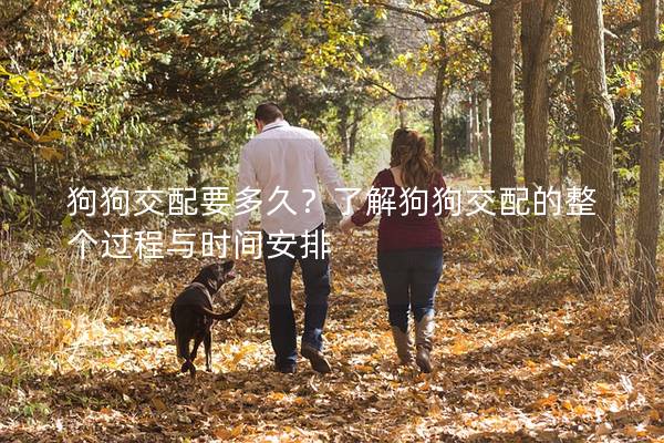 狗狗交配要多久？了解狗狗交配的整個過程與時間安排