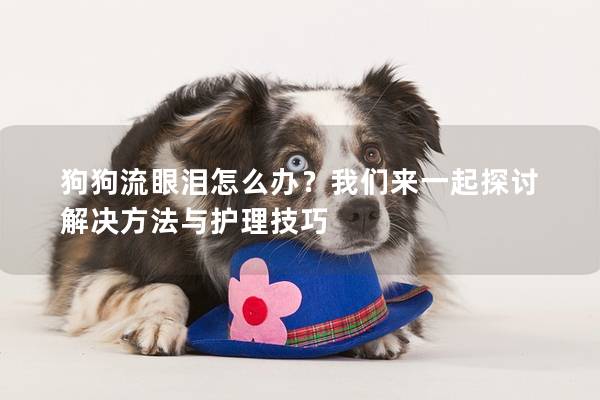 狗狗流眼淚怎么辦？我們來一起探討解決方法與護理技巧