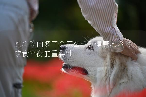 狗狗吃肉多了會怎么樣？健康風險與飲食平衡的重要性