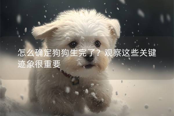 怎么確定狗狗生完了？觀察這些關鍵跡象很重要