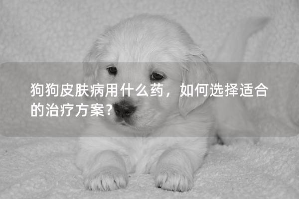狗狗皮膚病用什么藥,如何選擇適合的治療方案? 狗狗皮膚病用什么藥,如何選擇適合的治療方案?