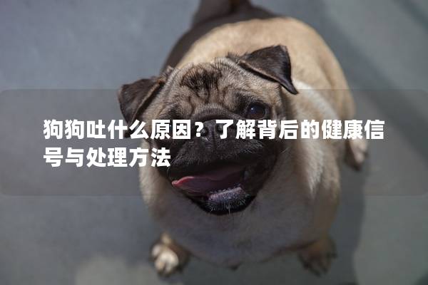 狗狗吐什么原因?了解背后的健康信號與處理方法 狗狗吐什么原因?了解背后的健康信號與處理方法