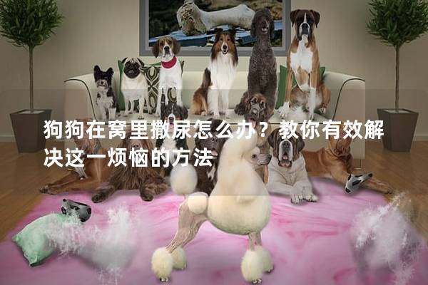 狗狗在窩里撒尿怎么辦？教你有效解決這一煩惱的方法