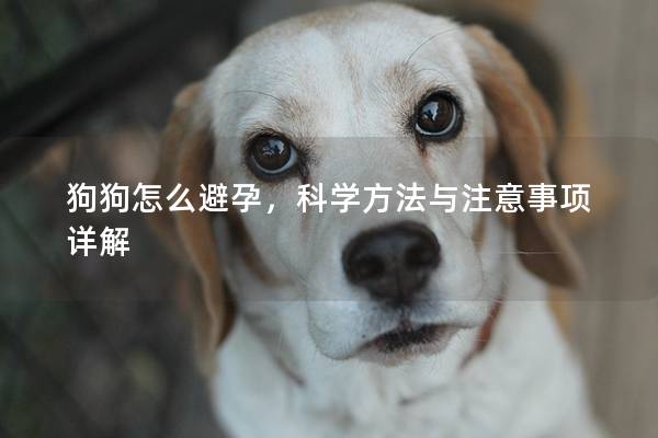 狗狗怎么避孕，科學方法與注意事項詳解