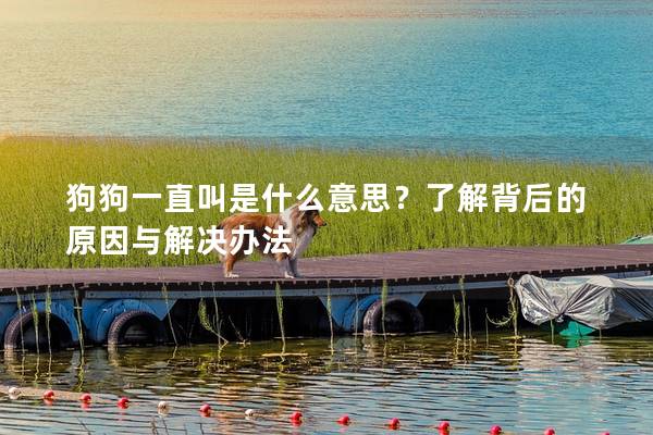 狗狗一直叫是什么意思？了解背后的原因與解決辦法
