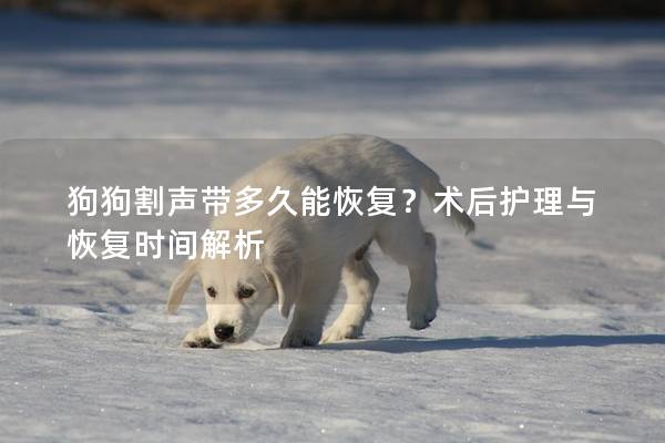 狗狗割聲帶多久能恢復？術后護理與恢復時間解析