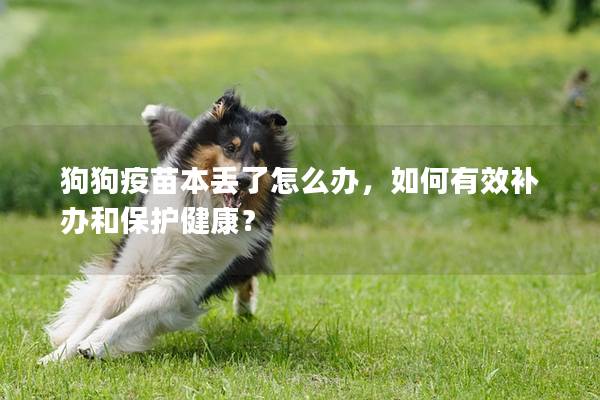 狗狗疫苗本丟了怎么辦，如何有效補(bǔ)辦和保護(hù)健康？